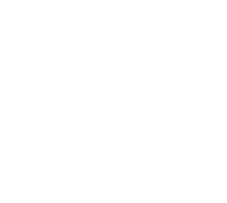 Irilus
